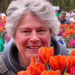 Lori Caudill - @lmcmichigander - Instagram