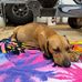 Richey Lori Cauthen - Facebook