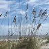 Lorrie Chadd - @lorrie.chadd - TikTok