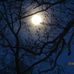 Laurie Chaisson - Facebook