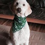 Lori Chartier - @chartierlori - Instagram