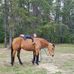 Lori Chartier - Facebook