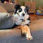 Lori Reavis Chastain - @unc89heels - Instagram