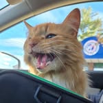 Lori Cheng - @lor678i - Instagram