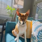 Lori Cheng - Facebook