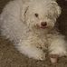Lori Chenoweth Cochran - Facebook