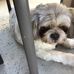 Lorraine Chenoweth - Facebook