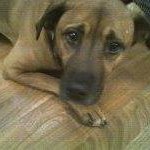 Lori Chester - @lori.chester.58 - Instagram
