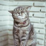 Lori Chin - @lori.chin - Instagram