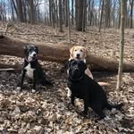 Lori Chinnici - @lorichinnici - Instagram