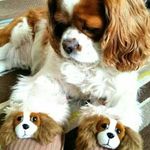 Lori Christ - @lorichrist12 - Instagram
