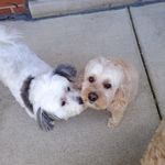 Lori Christopherson - @lchristopherson444 - Instagram