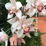 Lori Davis Cisneros - @lolomcisneros - Instagram