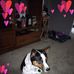 Laurie Clapp - Facebook