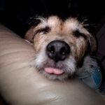 Lori Clapp Dobson - @loridobsonlilbit - Instagram