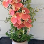 Lori Claxton - Facebook
