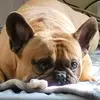 Samson's Mom - @loriclaxton4 - TikTok