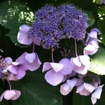 Lori Clifton - @lori.clifton.56 - Instagram