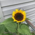 Lori Clouse - @lclouse61 - Instagram