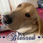 Lori Clouse Fryett - @mtngurl68 - Instagram