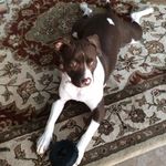 Lori Putnam Cobb - @lori_cobb - Instagram