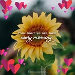 Lori Coffee - @2coffeecups03 - Instagram