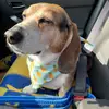 Lori Coles - @lori.coles - TikTok