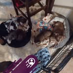 Lorie Compton - Facebook