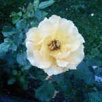 Lori Conklin - @lordoots59 - Instagram