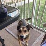 Lori Conklin-Duff - @conklinduff - Instagram