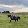 Lconnall - @loriconnall - TikTok