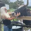 Lori barbara Conner - @lori.barbara.conn - TikTok