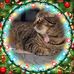 Lori Cornett - Facebook