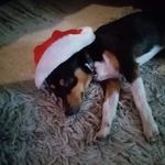 Loraine Divall Cornish - @cornishloraine - Instagram