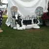 loridecostanza - @loridecostanza - TikTok
