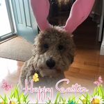 Lori Covert Dix - @covertdix - Instagram