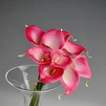 Lori Covert Stevens - @loricovertstevens - Instagram