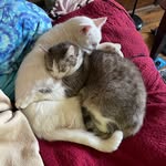 Lori Crabtree - @lori_crabtree14 - Instagram