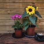 Deloris Cromer - @deloriscromer - Instagram
