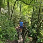 Lori Crone - @lorijcrone - Instagram