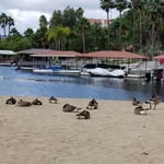 Lori Crouch - @lorenadigital - Instagram