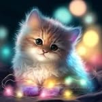 Lori Crouch - @loricrouch58 - Instagram