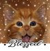 Lori Crouch - Facebook