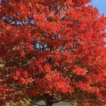 Lori Hagle Crowell - @lori.h.crowell - Instagram