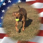 Lori Culver - @loriculver71 - Instagram