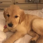 @lori_curran - Instagram