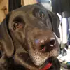 loricurran1 - @loricurran1 - TikTok