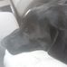 Lori Current - Facebook