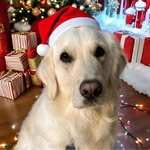 Lori Dahlquist Regan - @lreegs83 - Instagram