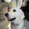 loridahlquistrega - @loridahlquistrega - TikTok